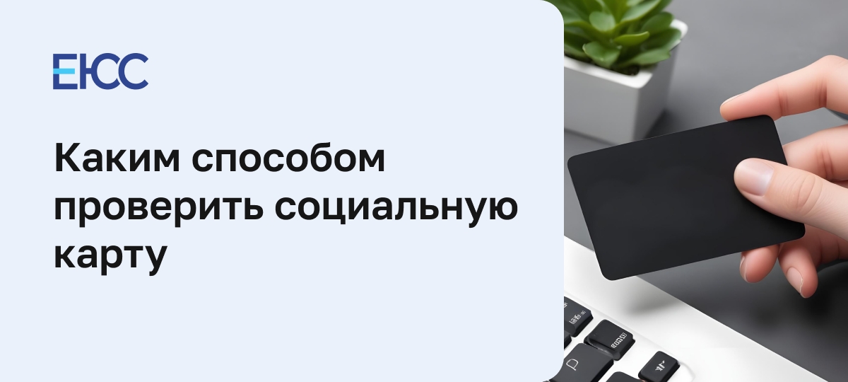 Как проверить социальную карту