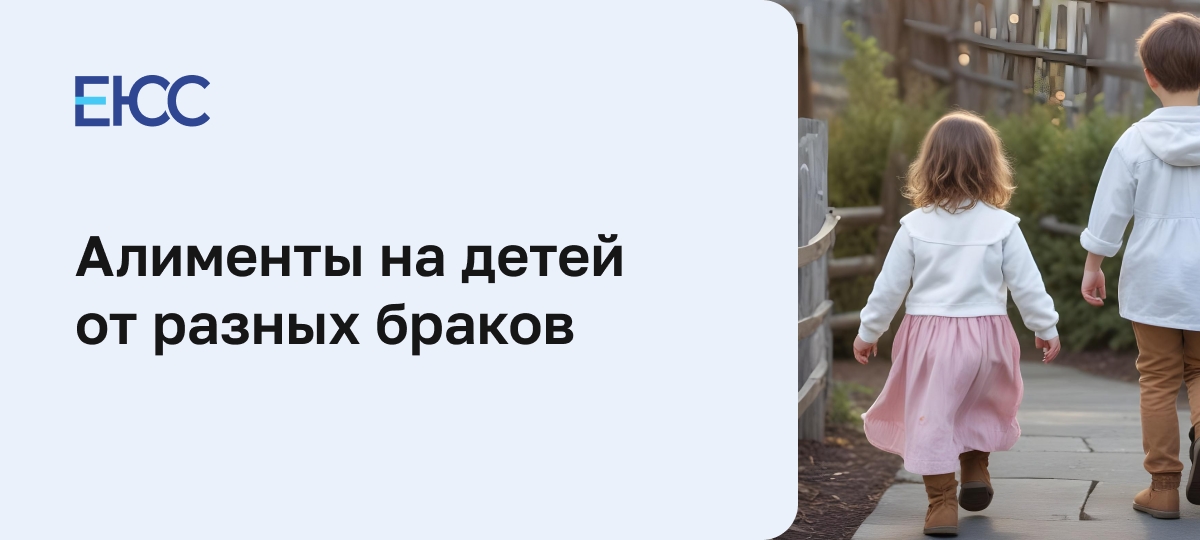 Алименты на детей от разных браков